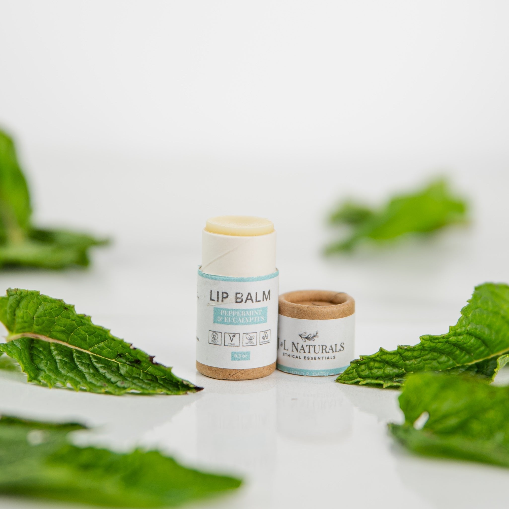 A pair of lip balm sticks surrounded by fresh mint leaves on a bright white background.