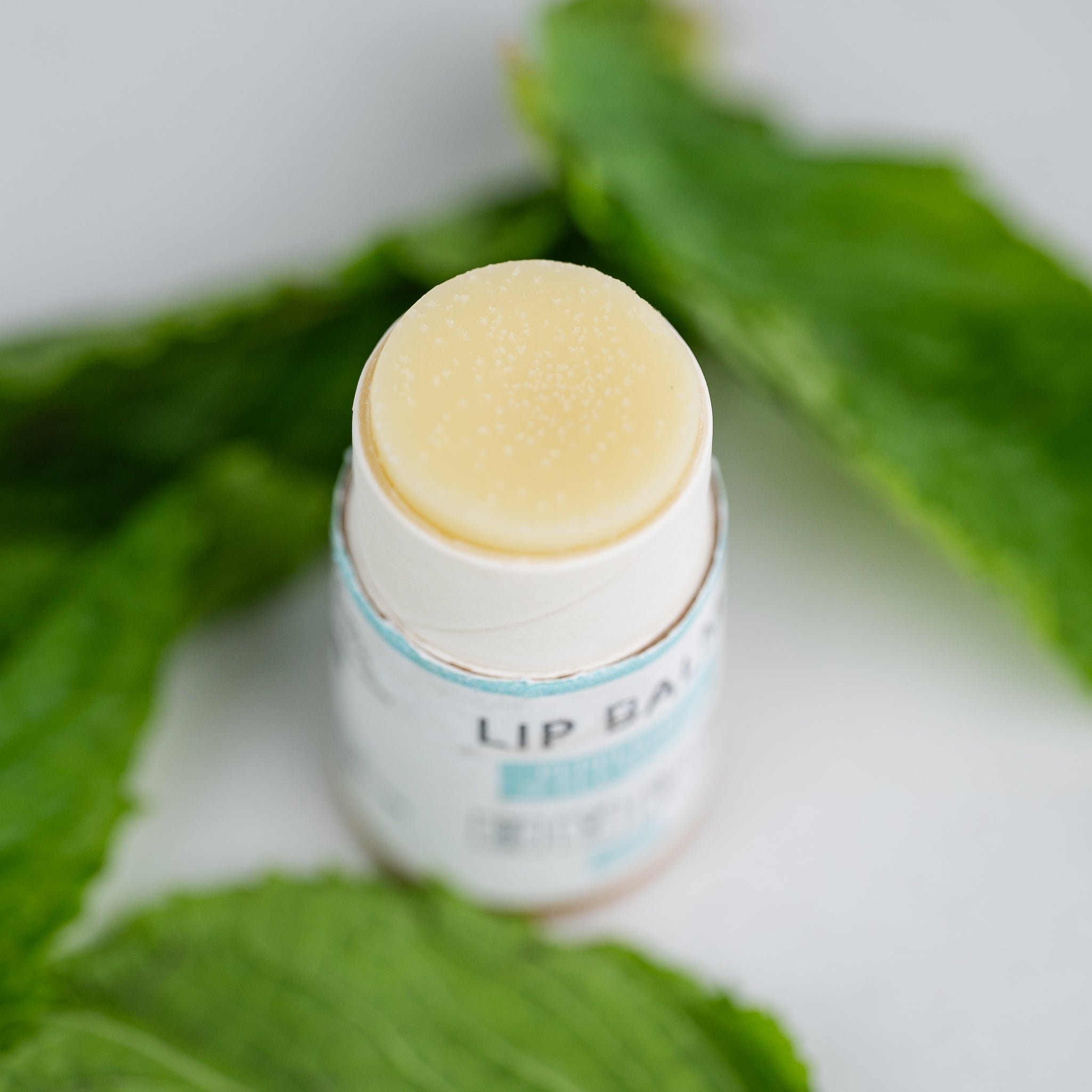 A single lip balm stick surrounded by fresh green mint leaves, showcasing its natural essence.