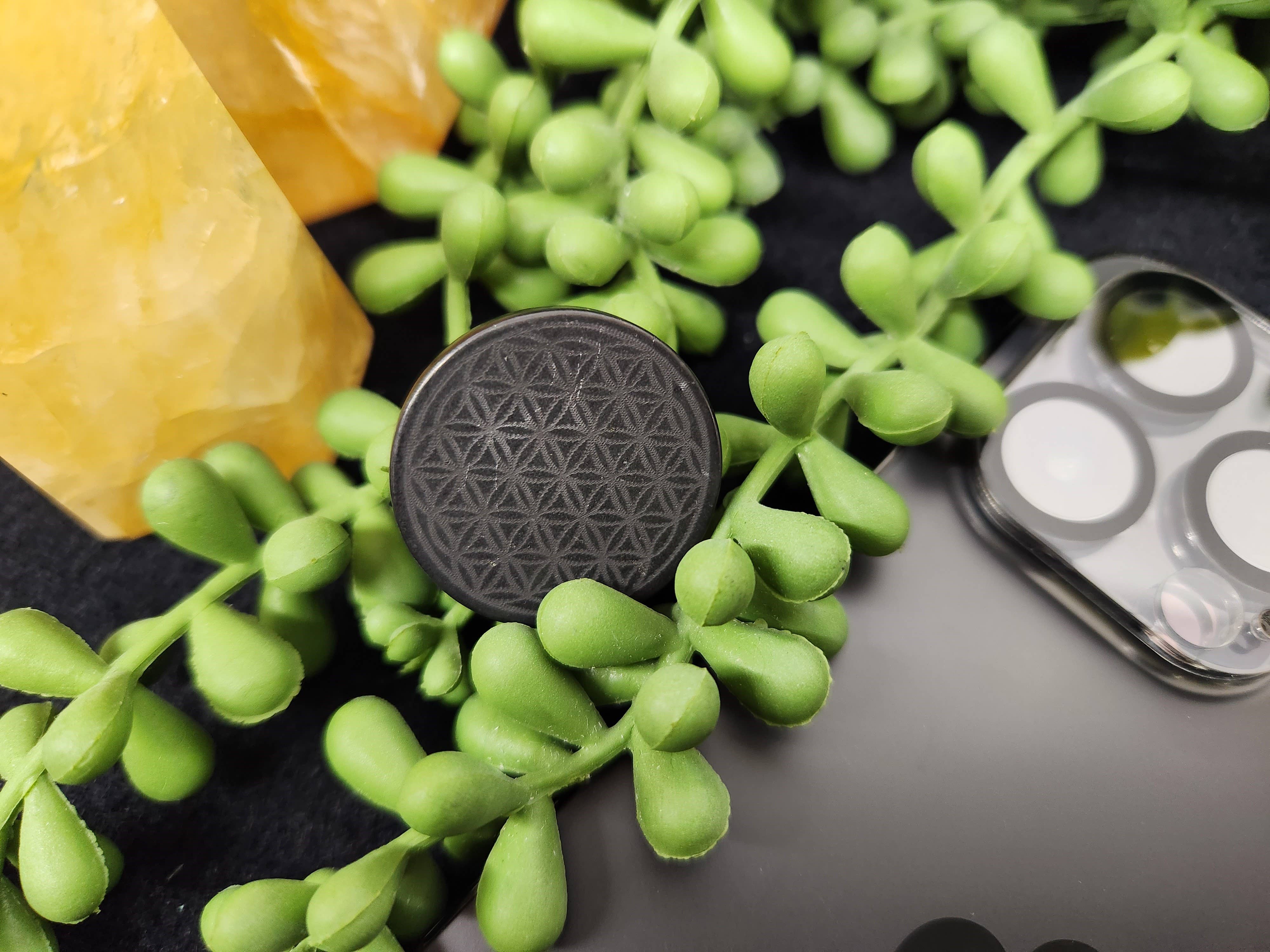 Shungite EMF Protection Tile attached to the back of a smartphone, resting on a table with a green plant nearby, blending functionality with natural aesthetics.