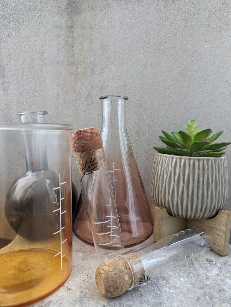 glass measuring beakers and glass tea infuser with cork in it on a counter with a plant on a stand. white background