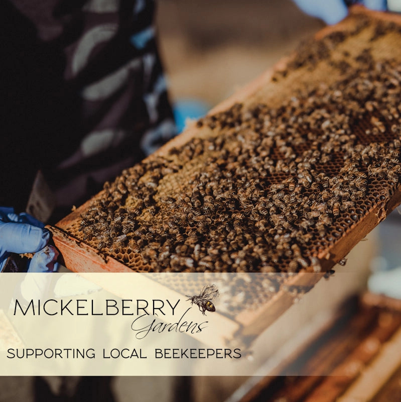 bees on a frame and farm branding 